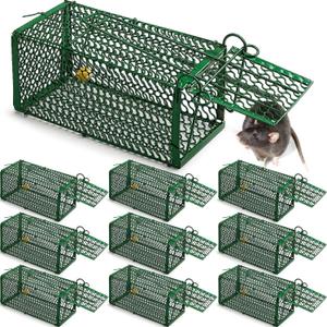 Qualirey 10 Pcs Humane Rat Trap Chipmunk Squirrel Cage Trap 4.33 x 4.33 x 9.06 Inches Foldable Rodent for Small Live Animal Voles Hamsters Catch and Release for Kitchen Yard Garage (Green)