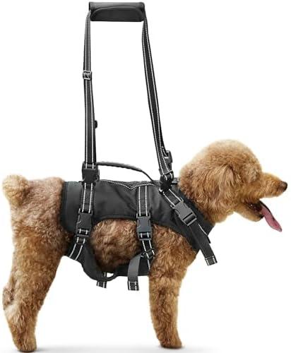 BENCMATE Dog Harness, Multipurpose Designed Harness with Reflective Strips, Dog Rehabilitation Lifts Vest for Old, Disabled, Joint Injuries, Arthritis, Paralysis Dogs(Medium)