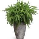 VICAMB 8PCS 18.5 inches Christmas Norfolk Pine Branches,Artificial Faux Greenery Stem,Norfolk Pines Picks for Garland Wreath Xmas and Home Garden Decor