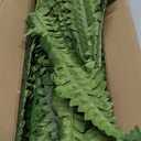 Fake Ferns - Set of 2 Faux Boston Ferns Large Artificial Plants, 40 Leaves per Bouquet, 35 Inches Large Artificial Ferns for Outdoors/Indoor Home, Office, Garden Decoration