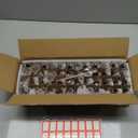 48 Pack 1/2oz Clear Glass Dropper Bottles, Eye Dropper Bottles with Glass Droppers for Essential Oils, Perfumes(15ml, Clear)