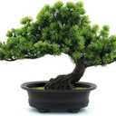 Artificial Plants Greenery Bonsai, Room Decor Fake Bonsai Tree for Home Decor Indoor Bookshelf Office Desk Bathroom Farmhouse Decor, Tall 9.5"