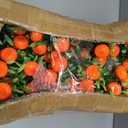 Fovths 6 Set Artificial Tangerine Branches Mason Jar Centerpiece Decorations for Dining Table Simulation Tangerine Branches Faux Oranges Fruit Decoration for Home Kitchen Engagement Bridal Shower