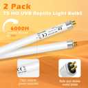 T5 10.0 UVB Light Bulb for Reptiles, 24W HO UVB Reptile Lamp Bulb, 2 Pack 22 Inch UVA UVB Fluorescent Lamp Tube for Bearded Dragon Leopard Gecko Tortoise Lizards