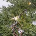 Christmas Garland with Lights, Artificial Garland for Mantle Fireplace Staircase Front Door, Pre-Lit Garland Indoor/Outdoor,Holiday Home Decoration-6FT Norfolk Pine Cedar