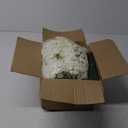 WEISPARK 100PCS Artificial Hydrangea Flowers, Fake Flowers Silk Hydrangea Full Flowers Heads with Stems for Wedding Home Party Shop Baby Shower Decor (Ivory)