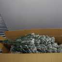 5FT Snow Flocked Artificial Christmas Tree, Unlit Xmas Tree with Pine Cones, 600 Branch Tips, Mini Holiday Christmas Tree with Metal Stand and Hinged Branches