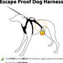 Huntboo Escape Proof Dog Harness, No Pull Reflective Harness with Lift Handle, Adjustable Pet Vest with Front and Back Leash Clips for Small Medium Large Dogs Walking Hiking Training (Pink,XL)