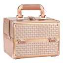 Joligrace Beauty Makeup Train Case for Lady Portable Cosmetic Box Jewelry Organizer Lockable with Keys and Mirror 2Tier Trays Carrying with Handle Makeup Storage Box  Rose Gold