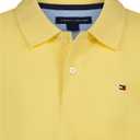 Tommy Hilfiger Boy's Ivy Polo (Big Kids), L