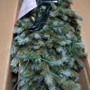 Christmas Tree 7 FT