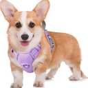 BARKBAY No Pull Dog Harness Large Reflective Dog Harness with Front Clip and Easy Control Handle for Walking Training Running with ID tag Pocket(Violet Purple,M)