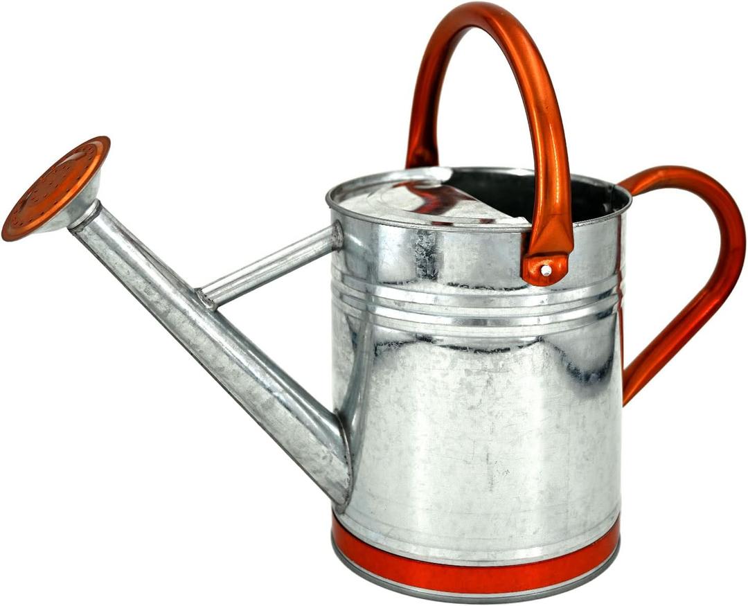 Lechloris Metal Watering Can for Outdoor Plants, Galvanized Steel Watering Can with Removable spout, 1 Gallon,Perfect Home & Garden Dcor Retro Zinc Hue