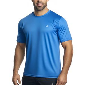 GearGlacier Instant Cooling Quick Dry Workout T-Shirt Men Undershirt Moisture Wicking Performance Running Comfort Tee (Blue, M)