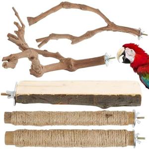Bird Perch Stand, Pole Standing Natural Wood Bird Perch Set 5PCS Paw Grinding Fork Parrot Cage Branch with Rope for Macaw African Grey Amazon Pet Medium Birds Cage Accessories