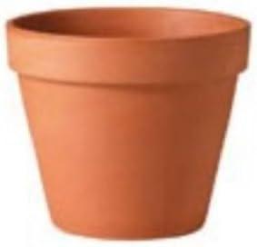 Terra Cotta Clay Flower Pot, Standard, 6-In.