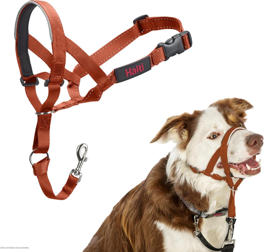 Halti Headcollar - Stop Your Dog Pulling on The Leash. Adjustable, Reflective and Lightweight, with Padded Nose Band. Dog Training Anti-Pull Collar for Medium Dogs (Size 2, Burnt Orange)