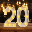 20th Birthday Decoration LED Light up Numbers, Birthday Number Sign Light for Birthday Party Decoration Night Lit Anniversary Background Home Decoration Party (Number 20, White)