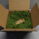 XmasExp Norfolk Pine Wreath 15INCH Real Touch Artificial Evergreen Realistic Faux Plain Christmas Wreath for Front Door,Mantles,Windows