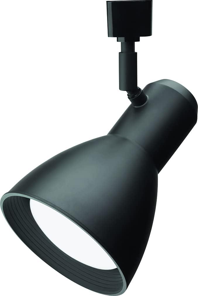 Lithonia Lighting LTHNSTBF BR30 DBL M2 Baffle Head Track Lighting, Black, 1 Count (Pack of 1)