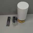 Dicoool Light Therapy Lamp 10000 Lux, Happy Light CRI>95 Sun Lamp with Remote, 3 Color Temperatures & Step less Dimming, Sunlight Lamp for Seasonal Mood Boost, Bring Sunshine to Windowless Office (White & Wood)