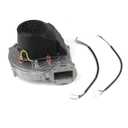 Gas Blower Fan Cooling Fan 115/120V 50/60Hz 300W Compatible with RG148/1200-3633-010303-108