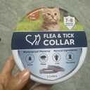 Dogs Collar (1 Ounce (Pack of 1))