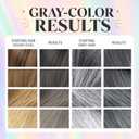 3-in-1 Hair Dye Shampoo Silver Gray - Herbal Hair Color Shampoo for Gray Hair Coverage, Semi-Permanent Natural Hair Tint Shampoo Dye for Women & Men, Color Depositing Shampoo, Champu Para Canas