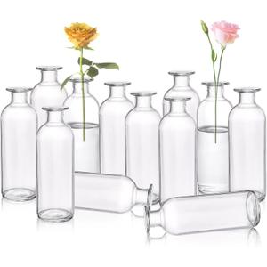 Peohud Set of 12 Glass Bud Vases, Clear Small Flower Vases, Decorative Glass Bottles Floral Vases for Home Decor, Wedding Reception, Party
