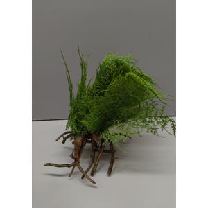 Abzo Fake Plant Artificial Greenery Potted Plants, Fake Plants for Home Decor Indoor, Faux Greenery for Office Desk Farmhouse Bathroom Shelf Table Decor