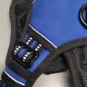 rabbitgoo Dog Harness No Pull with 2 Leash Clips, Adjustable Soft Padded, Reflective Oxford No Choke Pet Vest with Easy Control Handle for Medium Sized Dogs, Dazzling Blue, M