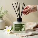 Soul & Scents Reed Diffuser Set Jasmine | 7.43 oz Refillable Scented Oil with 6 Fiber Sticks | Long-Lasting Home Fragrance & Air Freshener for Bedroom, Bathroom, Office | Gift & Dcor Piece