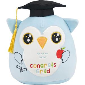 Preschool Graduation Owl Plush Toy: 8-Inch Blue Owl Kindergarten Graduation Stuffed Animal, Cute Class of 2026 Plushies, Graduation Gifts for Kids Boys Girls, Premary School Grad Party Decoration