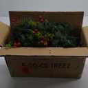 GUOOU Set of 2 Pathway Christmas Tree Urn Filler, Lighted Artificial Mini Xmas Trees with Lights, Outdoor Christmas Decorations for Porch, Driveway, Yard (5 Pine Cones)