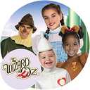 Wizard of Oz Halloween Sensations Dorothy Costume (75th Anniversary Edition) (Medium, One Color)