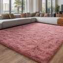 Blush Fluffy Area Rugs for Living Room, Soft Shaggy Carpets for Living Room, Upgrade Anti-Skid Fuzzy Rugs for Kids' Room, Perfect Decor for Modern Home 5x7 Feet