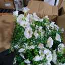 Artificial Fake Flowers For Outdoor Outside Decoration,16 Bundles UV Resistant Faux Plastic White Flowers with Green Eucalyptus Stem Plants Bulk Look Real for Home Porch yard Patio Planters (White)