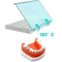 Dental Preformed Temporary Crown Primary Molar Metal Stainless Steel Teeth Crown Dentistry Orthodontic Material Therapy Tools for Kid and Adult 48Pcs/Box