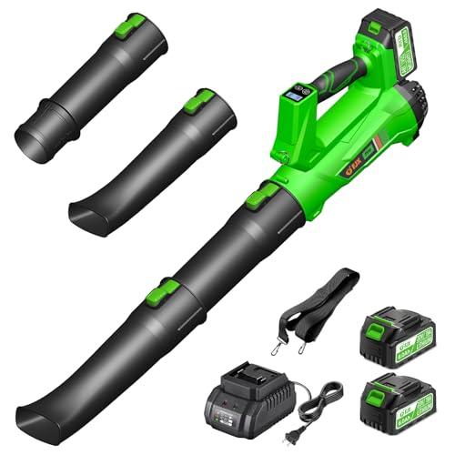 Cordless Leaf Blower with Battery and Charger, 540 CFM/170 MPH Leaf Blower Cordless, 2 X 6.0Ah Electric Lawn Blower, Lightweight Battery Powered Leaf Blowers for Patio Lawn Care Outdoor Cleaning 2024