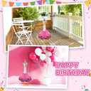 BOXOB Birthday Porch Goose Outfit, Cute Conical Hat and Gauze Skirt Costume for 17 Inch 23 Inch Cement & Plastic Goose Garden Lawn Yard Decoration (Pink)