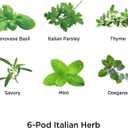AeroGarden Assorted Italian Herb Seed pod Kit, 6-Pod