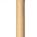 Foam Brush-2" Width