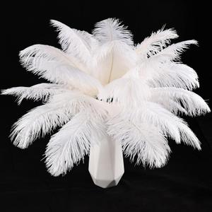 THARAHT White Ostrich Feathers 12pcs Natural Bulk 10-12Inch 25cm-30cm for Crafts Wedding Party Centerpieces Easter Gatsbi and Christmas Tree Decoration Feathers, White 