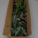 SHACOS 3 PCS 39" Fake Olive Tree Branches Olive Stems Large Tall Artificial Greenery Stems Bulk Faux Olive Branches for Vase Olive Leaves Plant Branch Greenery Decor