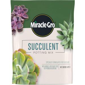 Miracle-Gro Succulent Potting Mix, For Indoor Succulents, Aloe Vera and More, Made with Miracle-Gro Plant Food, 4 qt (1 Pack)