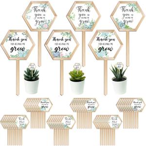 48 Pcs Thank You for Helping Me Grow Succulent Tags Teacher Appreciation Gifts Hexagon Wooden Plant Stakes Label Garden Marker Plant Sign for Teacher's Day Xmas Thanksgiving (Teacher Style)