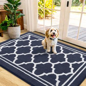 Buganda Indoor Door Mat, Dirt-Resistant and Absorbent Doormat, Anti-Slip, Low Profile Floor Mats for Inside Entryway, Front, and Back Door Entrance (48x32 Inches, Navy Blue)