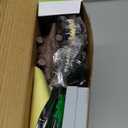 Dinosaur Toys,Create A Dinosaur World Road Race,Flexible Track Playset and 2 pcs Cool Dinosaur car for 3 4 5 6 Year & Up Old boy Girls Best Gift (Green)