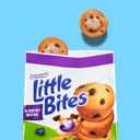 (Value Pack) Little Bites Blueberry Muffins, 10 individual packs, (1.5 oz each), Real Blueberries Mini Muffins, 15 oz Multipack (EXP 07/05/26)