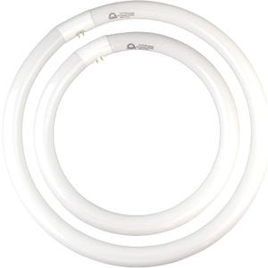 FC16T9/CW 40W & FC12T9/CW 32W Cool White Set, 16 inch T9 40 Watts & 12 inch 32 Watts Round Fluorescent Light Bulb, Circular Bulb Kitchen and Bath, 841 4100K, G10q 4 pin Prong